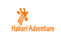 Habari Adventure Logo