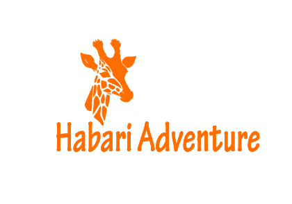 Habari Adventure Logo